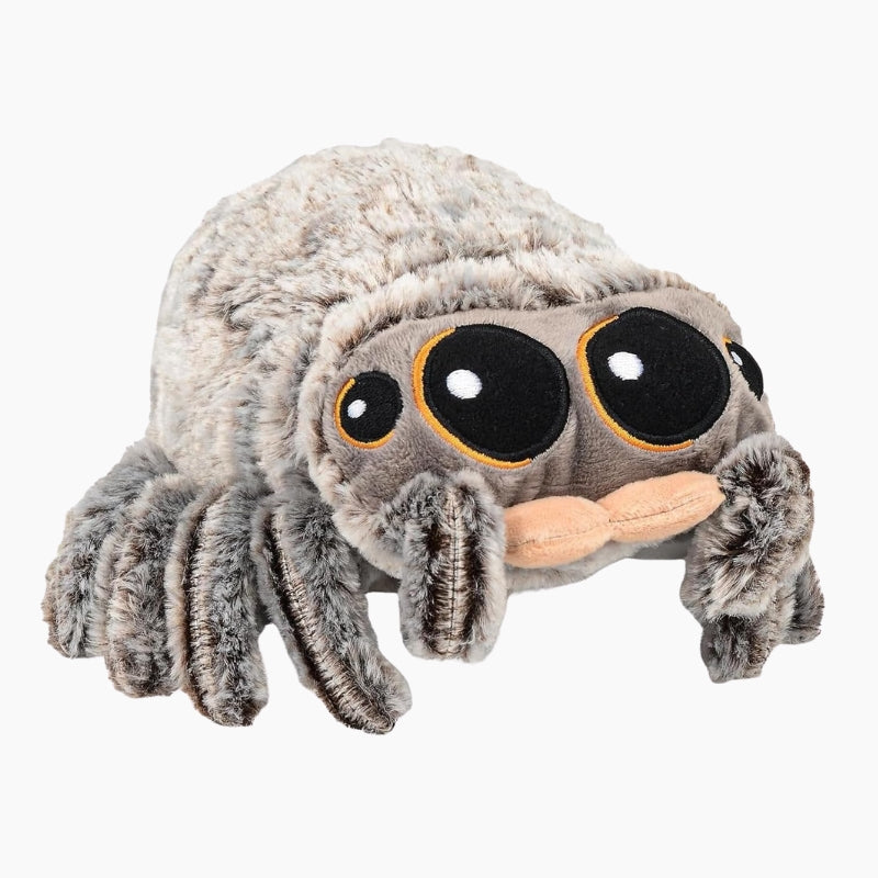 peluche-araignee.jpg