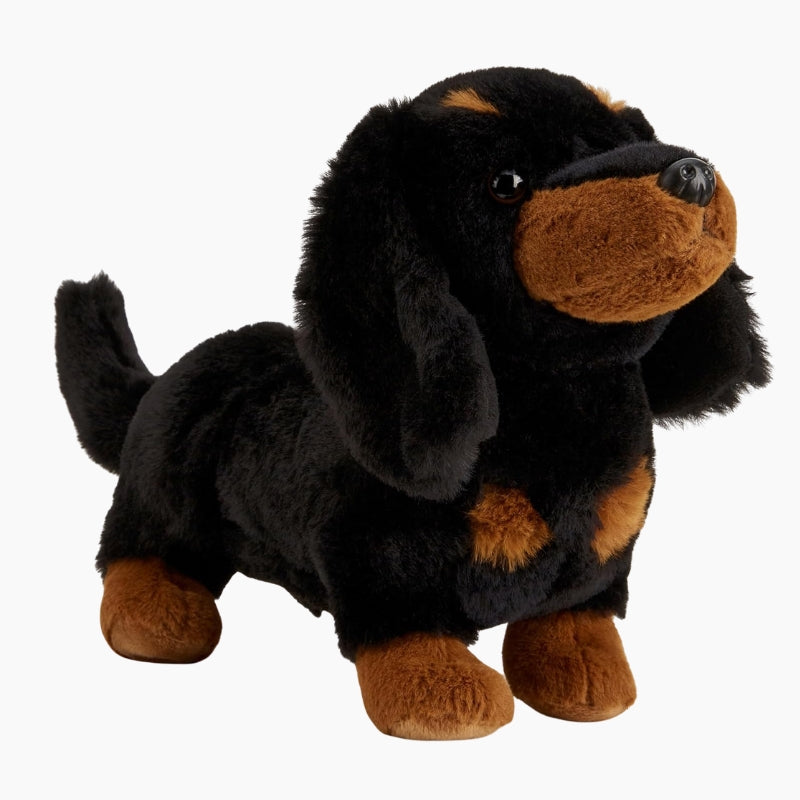 Peluche Teckel