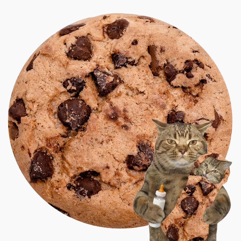 Plaid cookie
