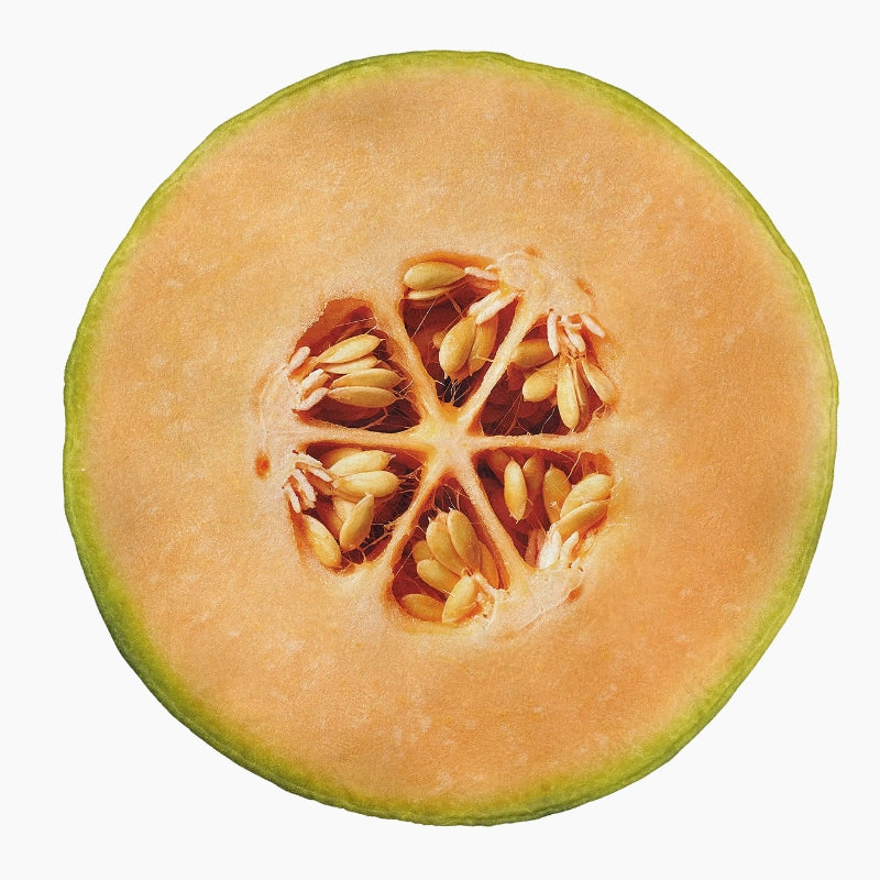 Plaid melon