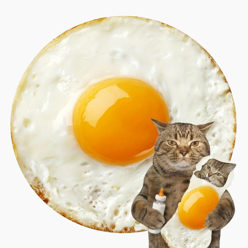 Plaid oeuf au plat