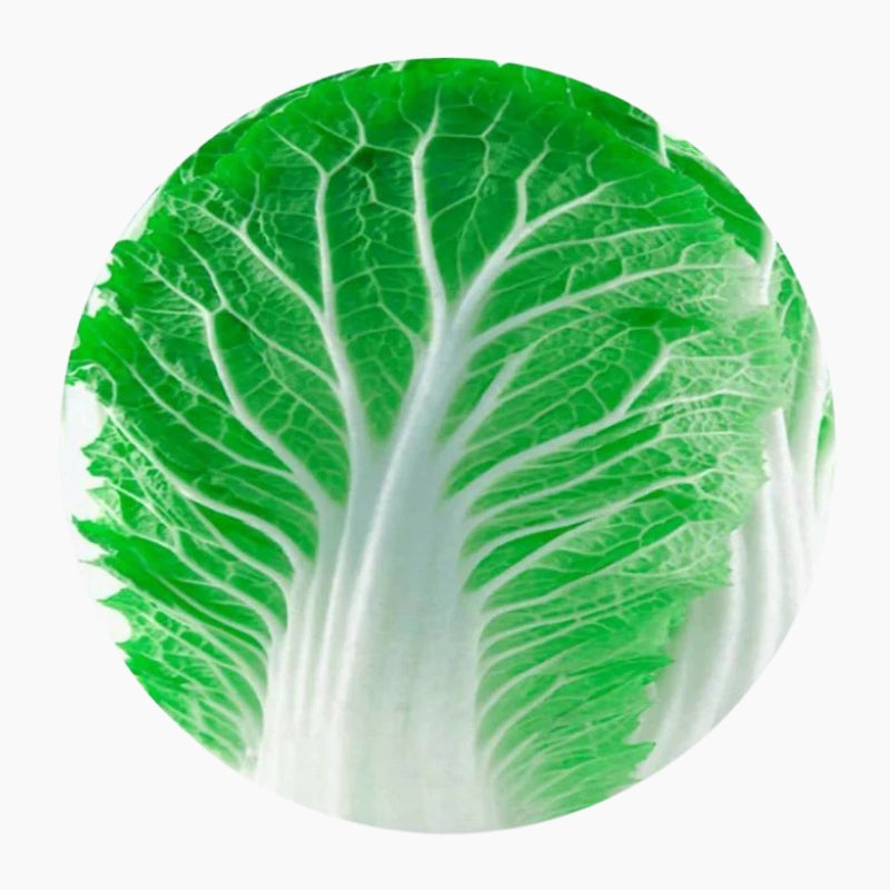 Plaid salade