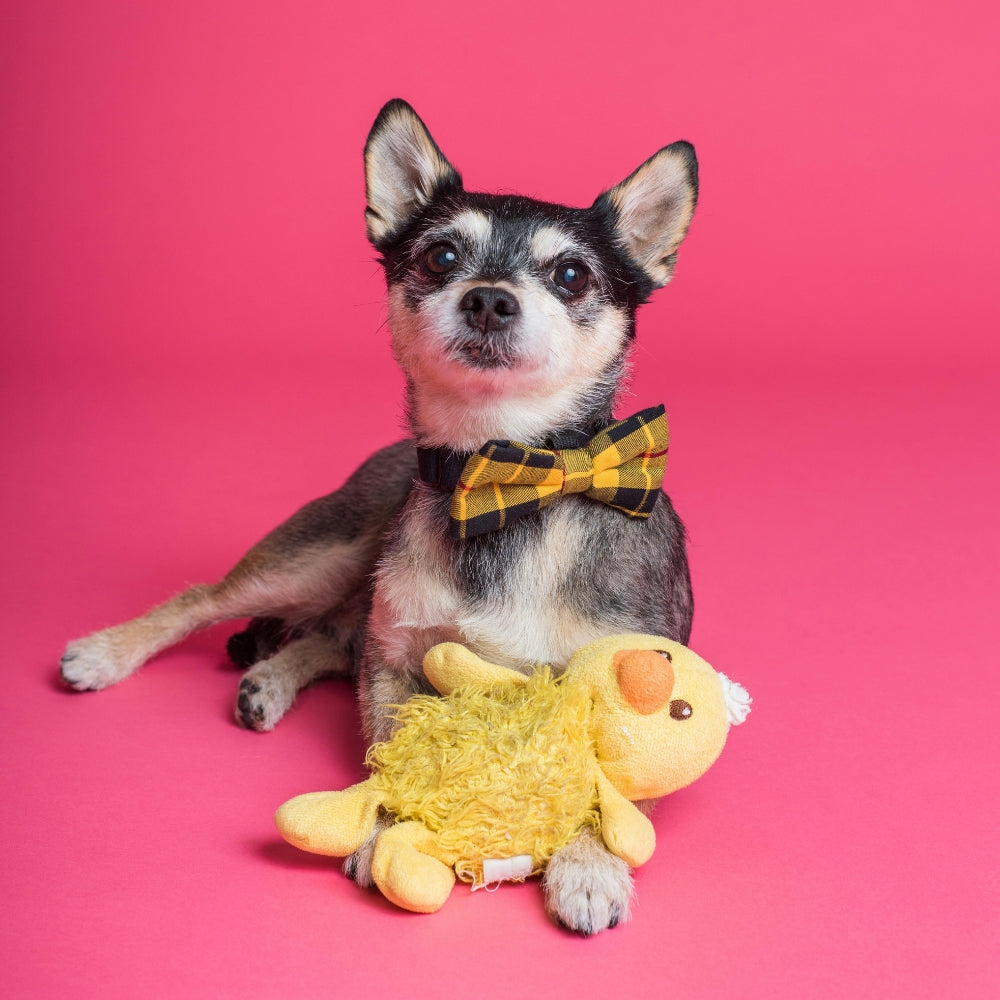 togel565win.online -1​